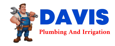 Trusted plumber in BOYD